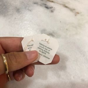 Meet your Posher, Alina